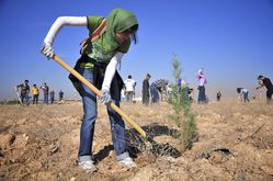 volunteer useful at workplace